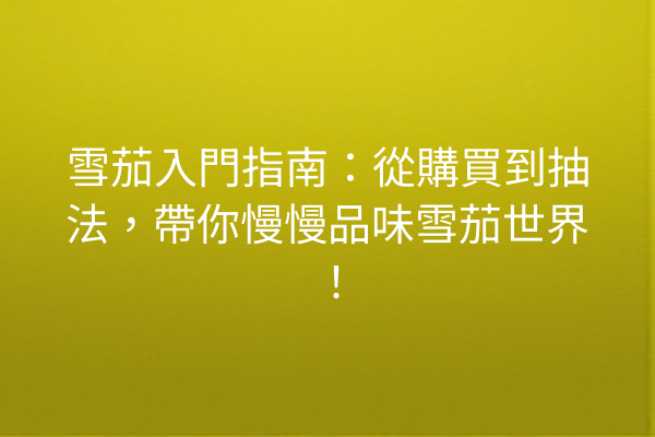 雪茄入門指南：從購買到抽法，帶你慢慢品味雪茄世界！