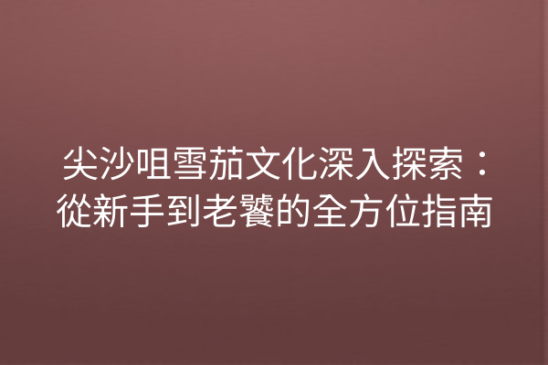 尖沙咀雪茄文化深入探索：從新手到老饕的全方位指南
