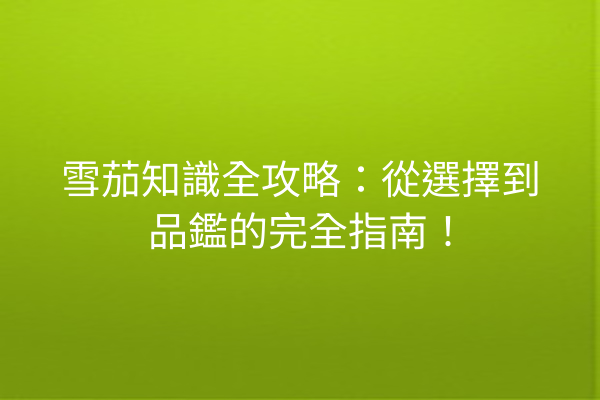 雪茄知識全攻略：從選擇到品鑑的完全指南！