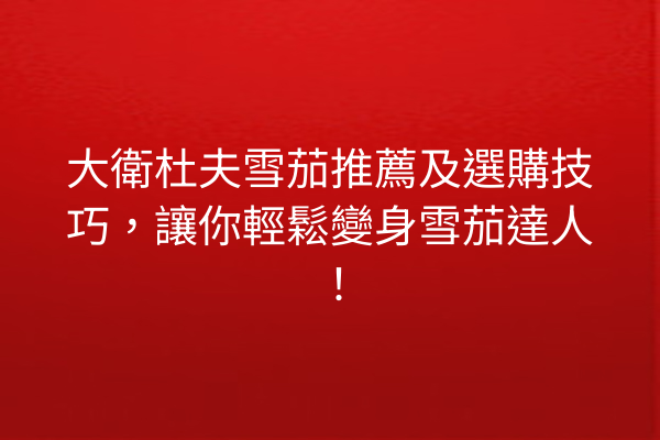 大衛杜夫雪茄推薦及選購技巧，讓你輕鬆變身雪茄達人！