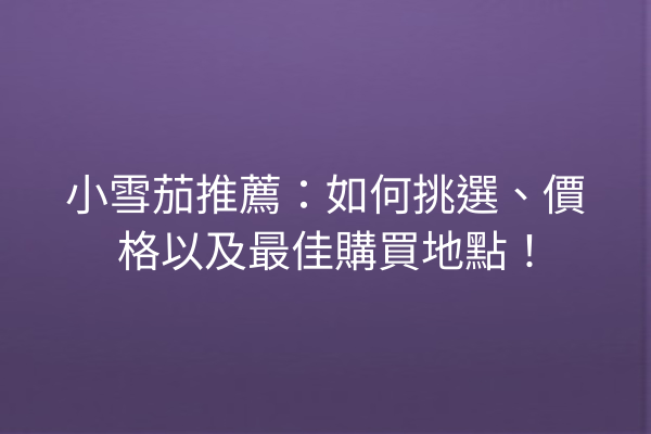 小雪茄推薦：如何挑選、價格以及最佳購買地點！