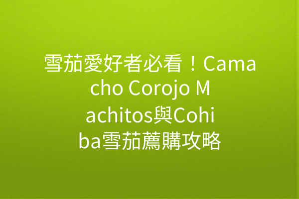 雪茄愛好者必看！Camacho Corojo Machitos與Cohiba雪茄薦購攻略