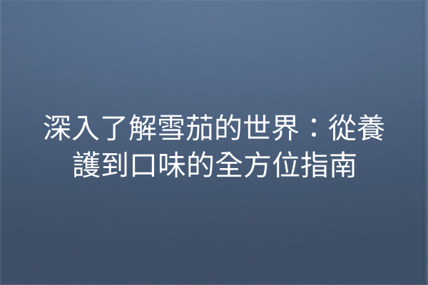 深入了解雪茄的世界：從養護到口味的全方位指南