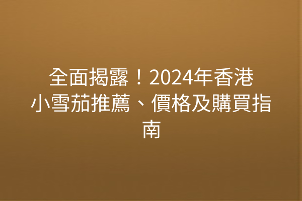 全面揭露！2024年香港小雪茄推薦、價格及購買指南