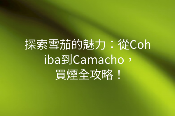 探索雪茄的魅力：從Cohiba到Camacho，買煙全攻略！
