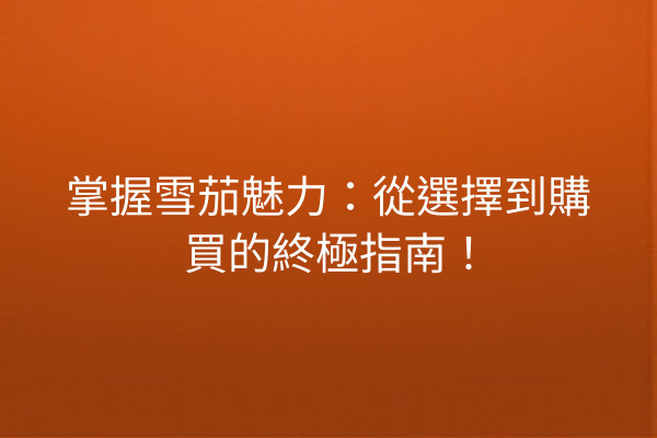 掌握雪茄魅力：從選擇到購買的終極指南！