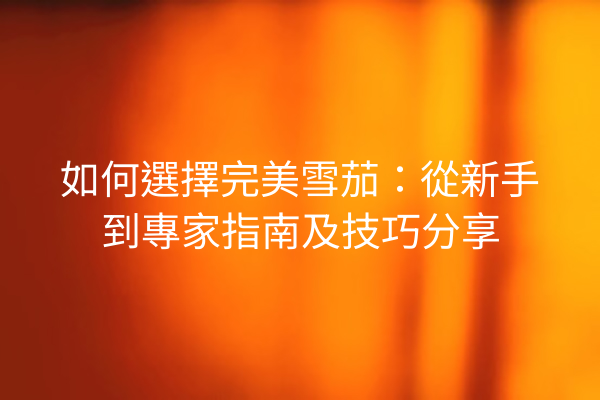 如何選擇完美雪茄：從新手到專家指南及技巧分享