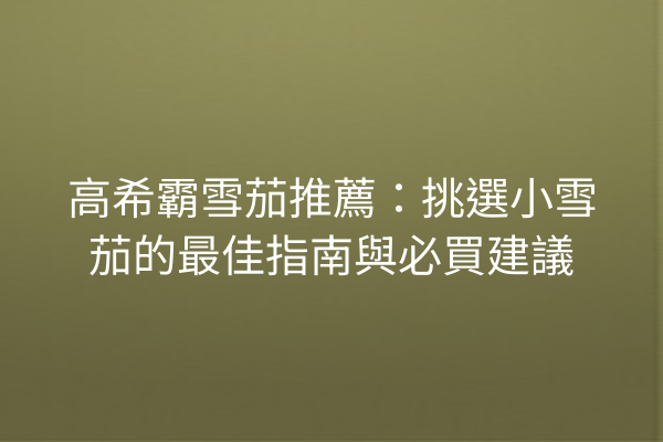 高希霸雪茄推薦:挑選小雪茄的最佳指南與必買建議