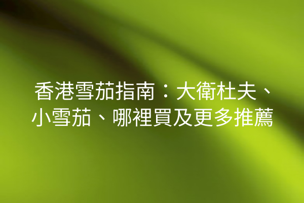 香港雪茄指南：大衛杜夫、小雪茄、哪裡買及更多推薦