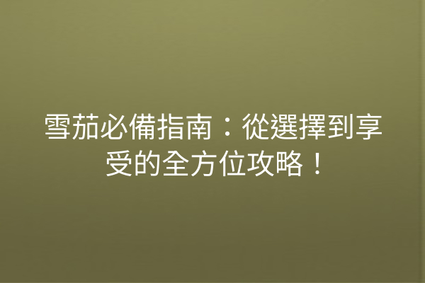 雪茄必備指南：從選擇到享受的全方位攻略！