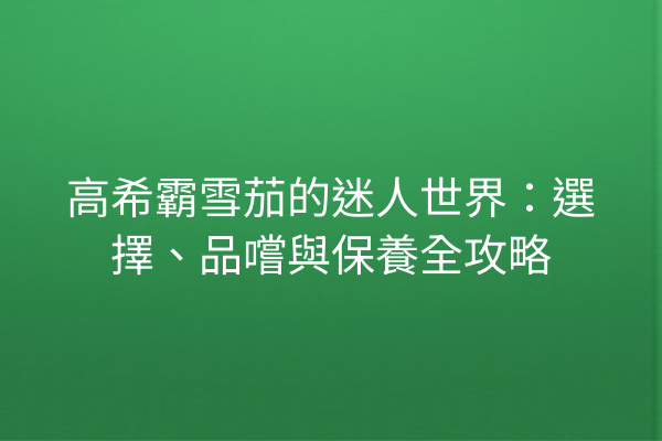 高希霸雪茄的迷人世界：選擇、品嚐與保養全攻略