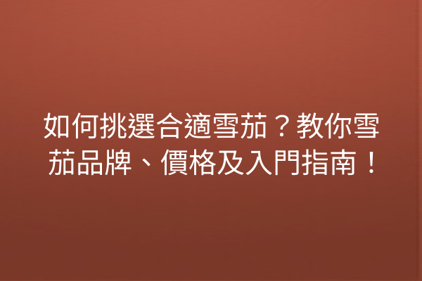 如何挑選合適雪茄？教你雪茄品牌、價格及入門指南！