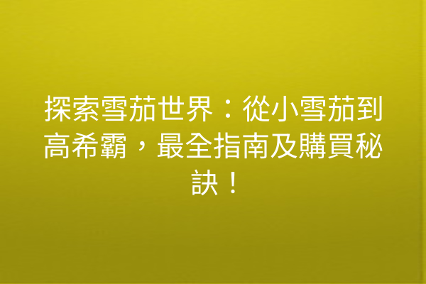 探索雪茄世界：從小雪茄到高希霸，最全指南及購買秘訣！