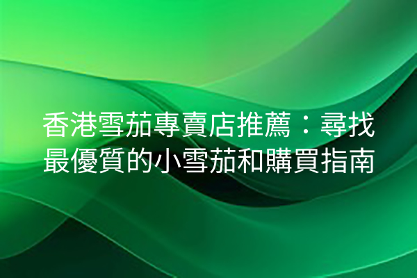 香港雪茄專賣店推薦：尋找最優質的小雪茄和購買指南